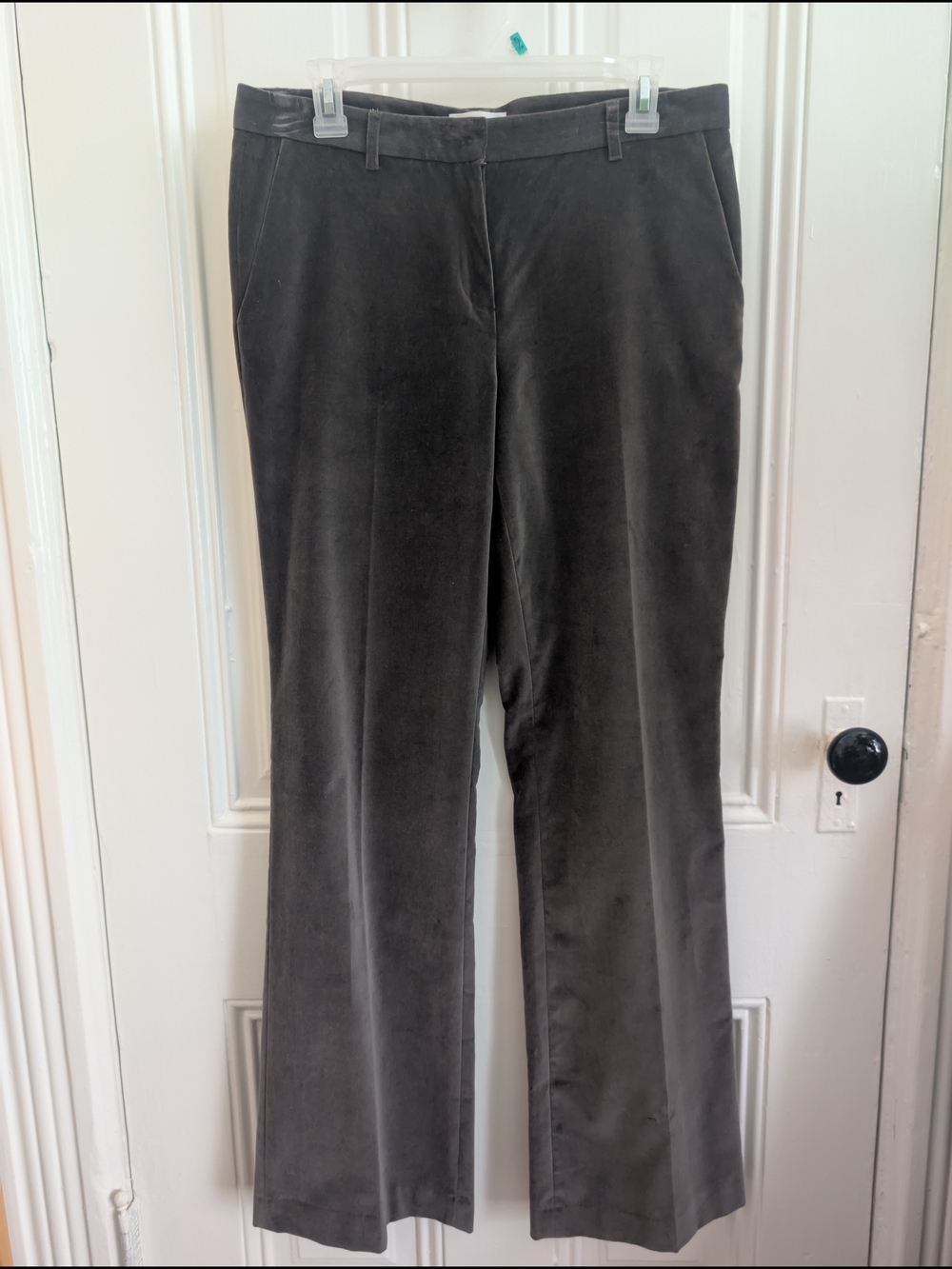 Calvin Klein Dark Gray Women's Velour Dress Pants